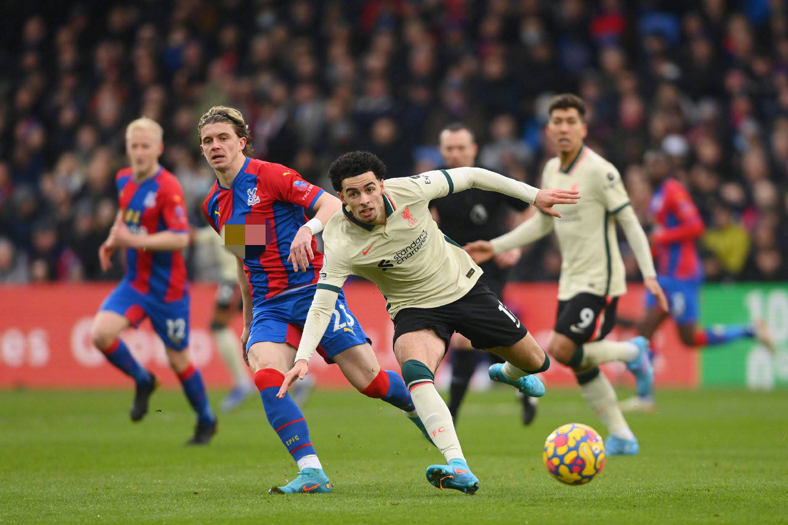 的经典模样 的经典模样